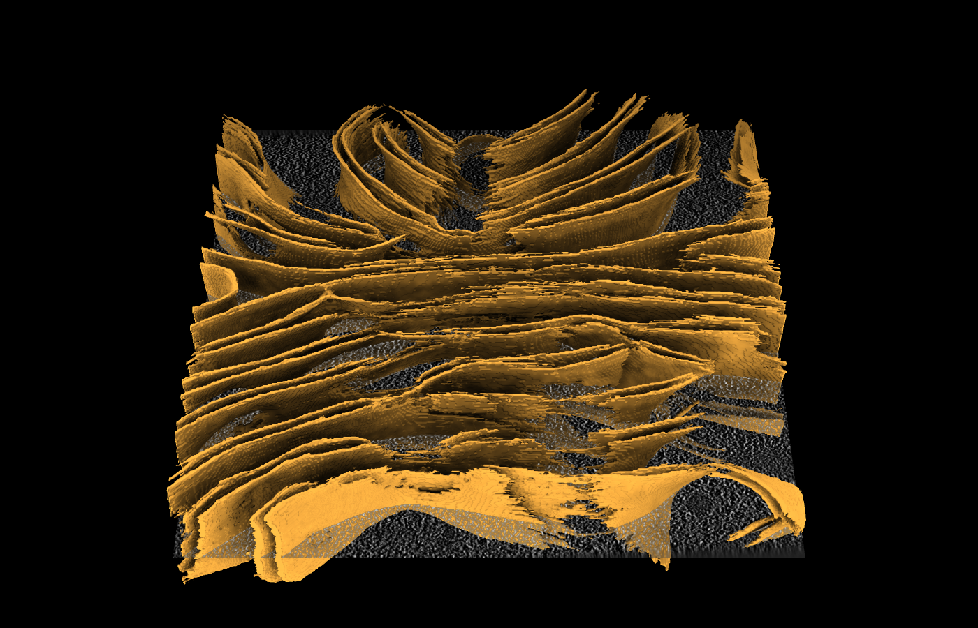 ETSAM membrane segmentation shown as a gold surface over a tomogram slice in ChimeraX