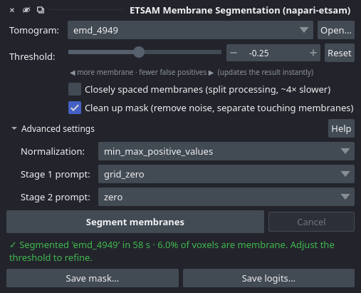 ETSAM advanced settings in napari